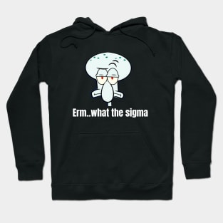 Erm..what the sigma tiktok meme viral funny nerdy design Hoodie